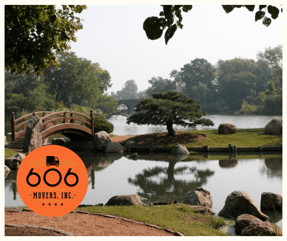 Bonzai tree garden with river